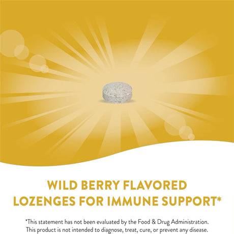 Nature'S Way Zinc Lozenges with Vitamin C & Echinacea, Immune Support*, Wild Berry Flavored, 60 Lozenges 60 Count (Pack of 1)