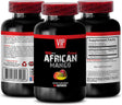 Fat Loss Happens on Monday - AFRICAN MANGO EXTRACT 500MG - African Mango Bulk Supplements - African Mango Seed Extract - African Mango Supplements - African Mango Extract - 1 Bottle (60 Capsules)