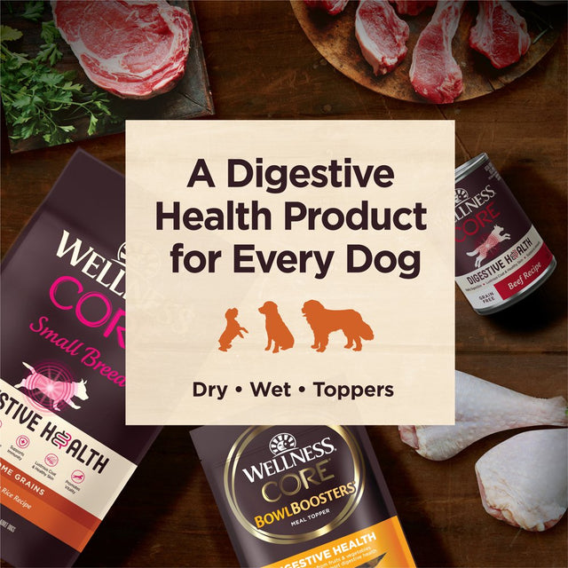 Wellness CORE Digestive Health Small Breed Chicken & Brown Rice Dry Dog Food, 4 Pound Bag