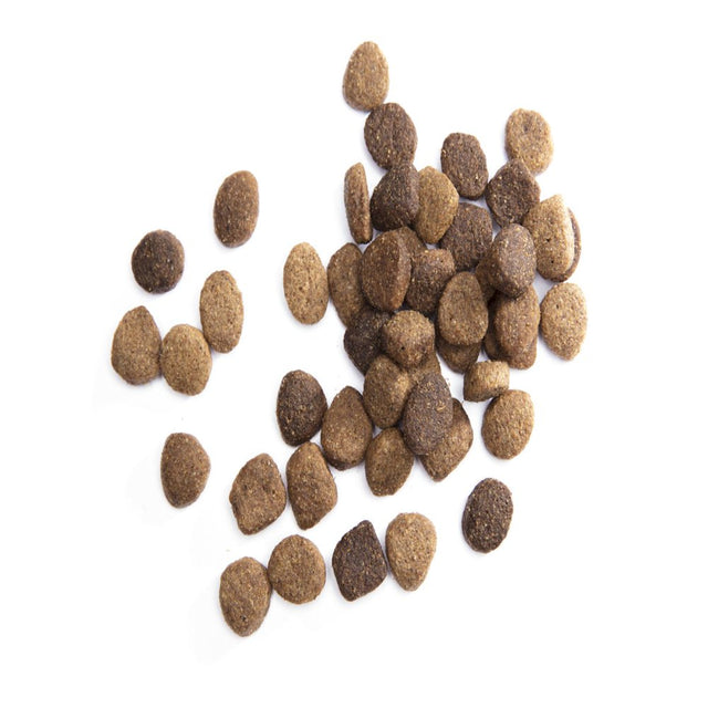 IAMS Proactive Health Chicken and Whole Grain Recipe Dry Dog Food, 30 Lb Bag