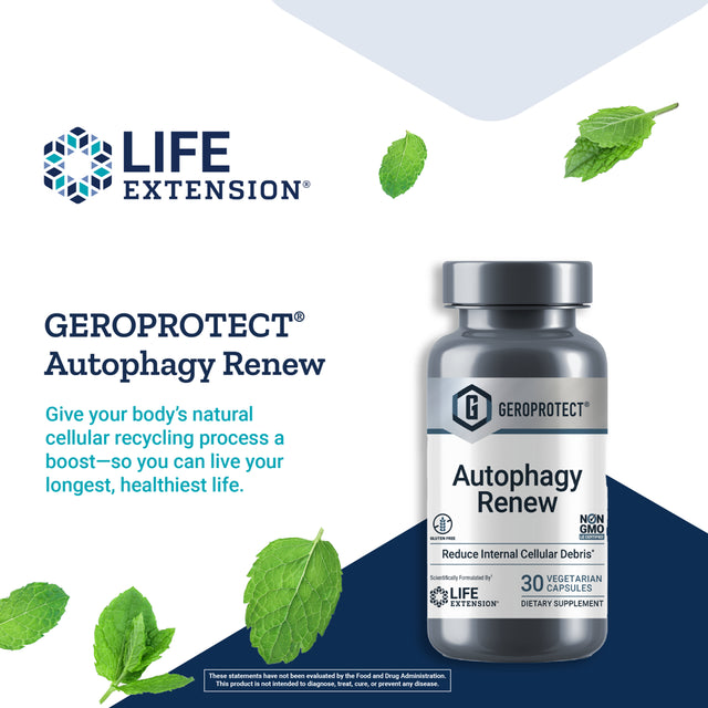 Life Extension GEROPROTECT® Autophagy Renew - Encourages “Cellular Housekeeping” & Longevity - Gluten-Free, Non-Gmo - 30 Vegetarian Capsules