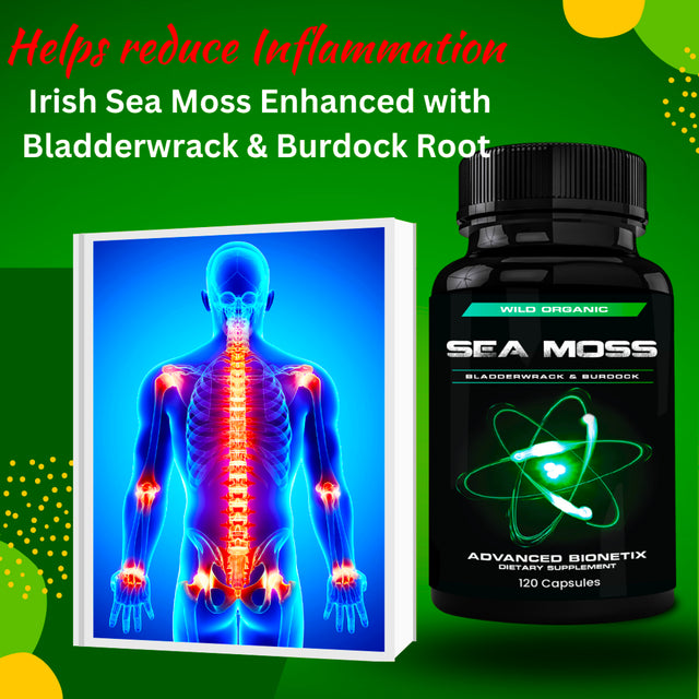 Advanced Bionetix Organic Irish Sea Moss Capsules, Raw Wildcrafted Seamoss Enhanced W/ Bladderwrack & Burdock Root Capsules 120 Total Pills Antioxidant Packed. Prebiotic Superfood, Thyroid Support.