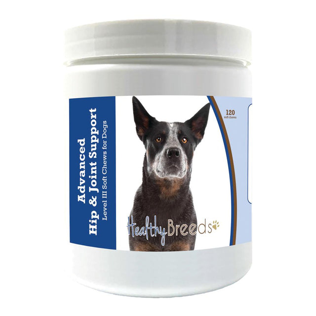 Healthy Breeds Australian Cattle Dog Advanced Hip & Joint Support Level III Soft Chews for Dogs 120 Count