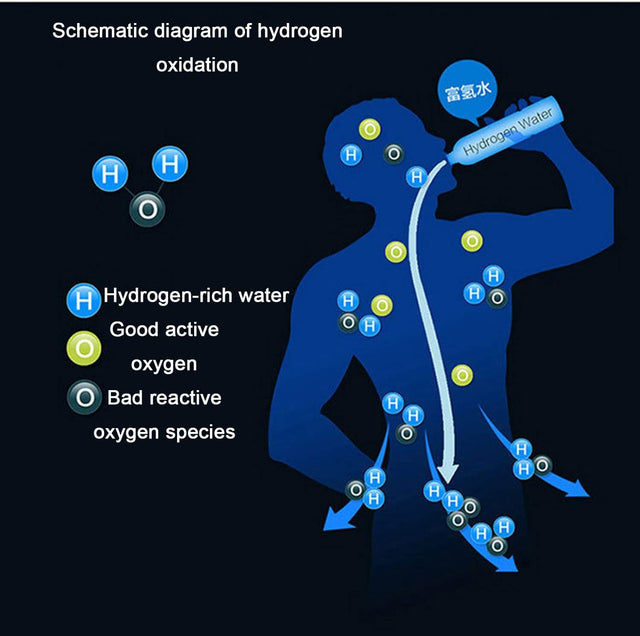 Portable 3-Minute Hydrogen-Rich Water Bottle Rechargeable High Concentration Hydrogen Water Generator Glass Bottle Anti-Aging Anti-Oxidation Kettle 500Ml