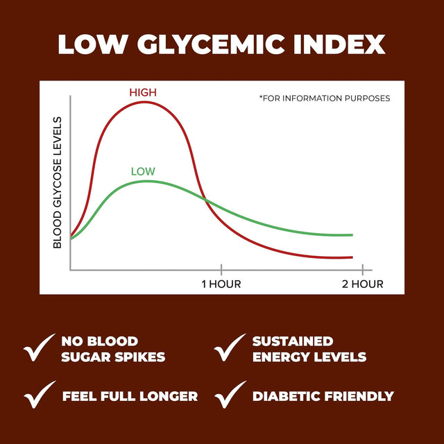 Keep Healthy Low Glycemic Bar - Sea Salt Brownie - 12G Plant Based Protein, Low Sugar, Organic, Vegan, Gluten Free, Soy Free, Dairy Free Protein Bar (12 Bars)