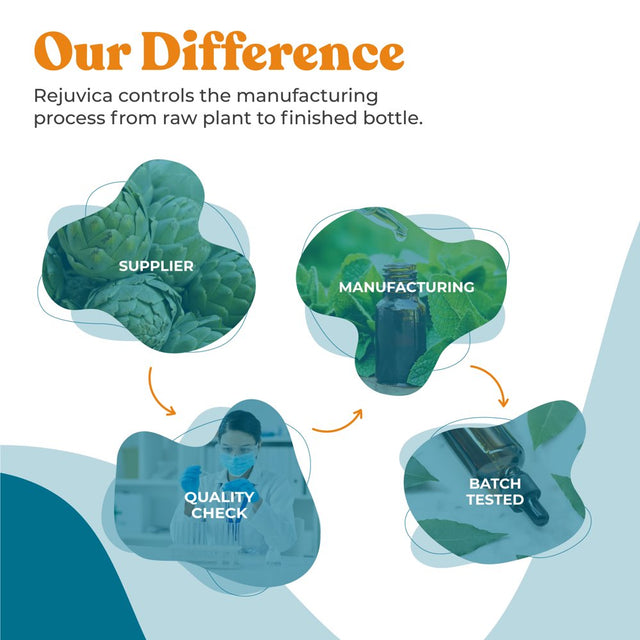 Intesticlear - Advanced Intestinal Cleanse Support for Humans - All-Natural Liquid Formula for 2X Absorption - Bonus Liver Support - Wormwood, Black Walnut, Ginger and More