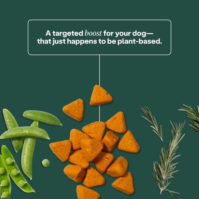 Hip Joint Dog Supplements by Wild Earth