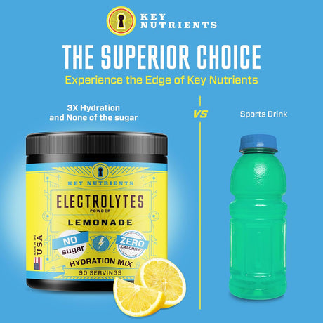 KEY NUTRIENTS Electrolytes Powder No Sugar - Refreshing Lemonade Electrolyte Powder - Hydration Powder - No Calories, Gluten Free Keto Electrolytes Powder - 90 Servings - Made in USA