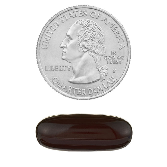 Spring Valley 4-Function Brain Support Dietary Supplement, 60 Count