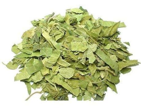 Finaldeals Gudmar Gurmar Gymnema Sylvestre 100 Gram