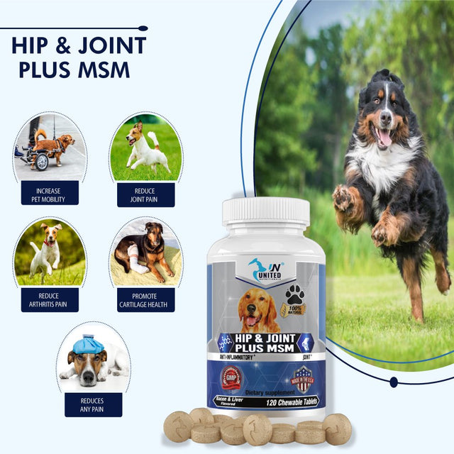 Hip and Joint Support for Dogs, Glucosamine, MSM, Chondroitin, Pain Relief, Joint Inflammation, Healthy Cartilage and Mobility - 60 Natural Chewable Tablets.