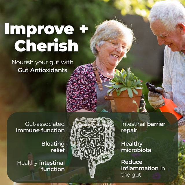 Gut Antioxidant Formula Gut Health Supplements - Antioxidant Supplements for Gut Health and Energy - anti Inflammatory Supplement by Purehealth Research, 3 Bottles