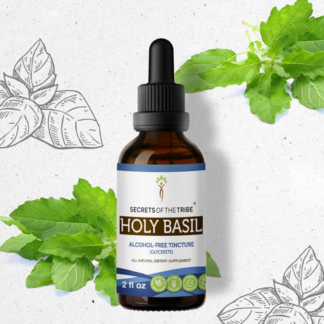 Holy Basil Tincture Alcohol-Free Extract, Organic Holy Basil (Ocimum Tenuiflorum) Dried Herb 2 Oz