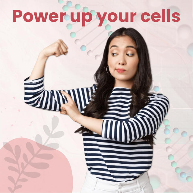 ALA/ALC High Potency Formula- Best Alpha Lipoic Acid and Acetyl-L-Carnitine Hcl Dietary Supplement- Antioxidant Support- Energy Boost- for Men and Women 60 Capsules