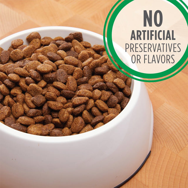 IAMS Proactive Health Minichunks Chicken and Whole Grain Recipe Dry Dog Food, 15 Lb Bag