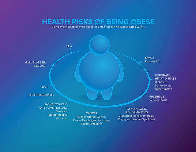 All in One Plate | Diet Weight Loss Aid | Food Management & Servings Control (All in One)