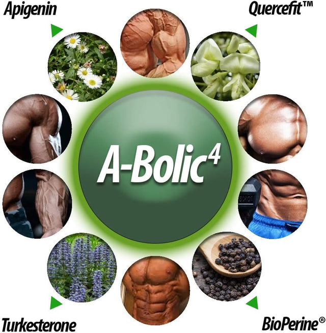 A-Bolic4 Advanced Anabolic Boost Supplement | Support Healthy Anabolic Growth Naturally with Turkesterone, Apigenin, Quercefit™ Quercetin | 120 Capsules
