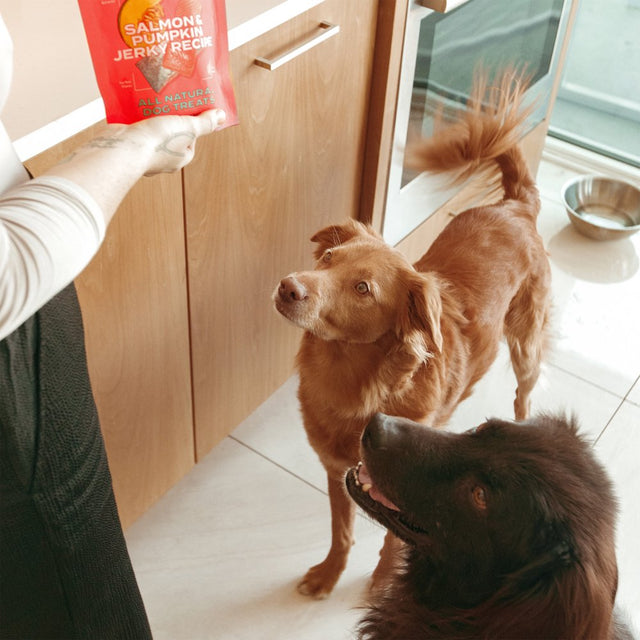Jinx All Natural Salmon and Pumpkin Jerky Treats for Dogs, 5 Oz Bag