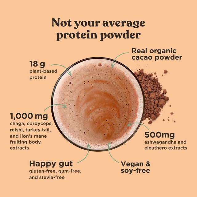 Four Sigmatic Organic Plant-Based Protein Powder Creamy Cacao Protein with Lion’S Mane, Chaga, Cordyceps and More | Clean Vegan Protein Elevated for Brain Function and Immune Support | 21.16 Oz