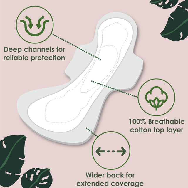 L. Chlorine Free Maxi Extra Long Overnight Pads with Wings, 20 Count