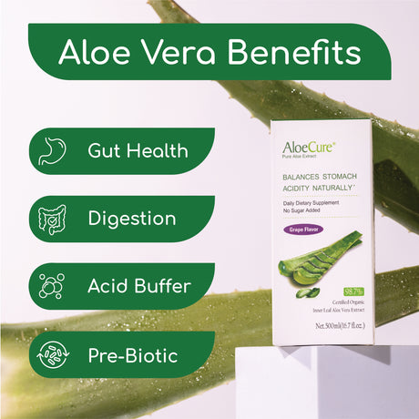 Aloecure USDA Organic Aloe Vera Juice Grape Flavor, Made within 12 Hours of Harvest - Pure Aloe Vera Drink Natural Treatment for Acid Reflux, GERD, Natural Acid Buffer, Aloe Vera Inner Fillet Juice