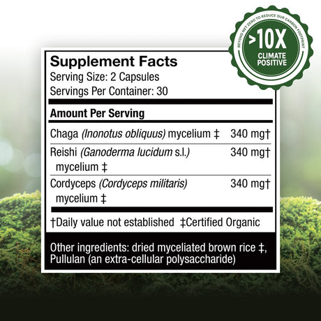 Host Defense, Breathe Capsules, Respiratory Support, Mushroom Supplement with Cordyceps, Reishi and Chaga, Unflavored, 60