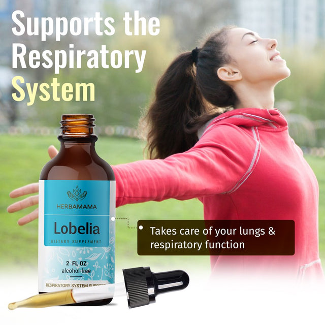 HERBAMAMA Lobelia Liquid Extract - Organic Herb Tincture for Lung Health, 2 Fl Oz