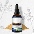 Goldenseal Root Tincture Alcohol-Free Extract, Responsibly Farmed Organic Goldenseal Hydrastis Canadensis Healthy Digestion 2 Oz