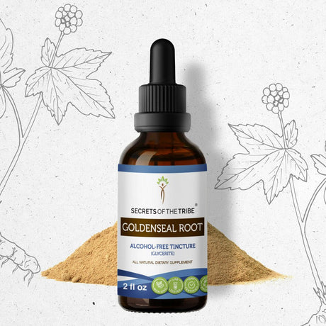 Goldenseal Root Tincture Alcohol-Free Extract, Responsibly Farmed Organic Goldenseal Hydrastis Canadensis Healthy Digestion 2 Oz