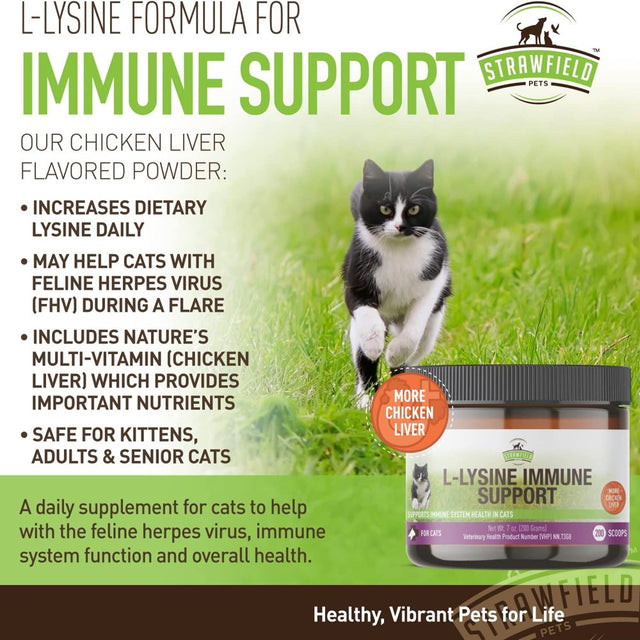L-Lysine for Cats Supplement Powder Granules for Cat Cold, Sneezing, Congestion, Running Nose, Respiratory, Allergy Relief , Cats & Kittens of All Ages , Cat Health Supplies