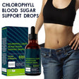 Chlorophyll All-Natural Extract Liquid Drops Water Soluble Mint 59Ml 6000Mg