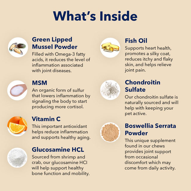 Honest Paws Dog Hip and Joint Powder – Mobility Health Bone Supplement- All Ages