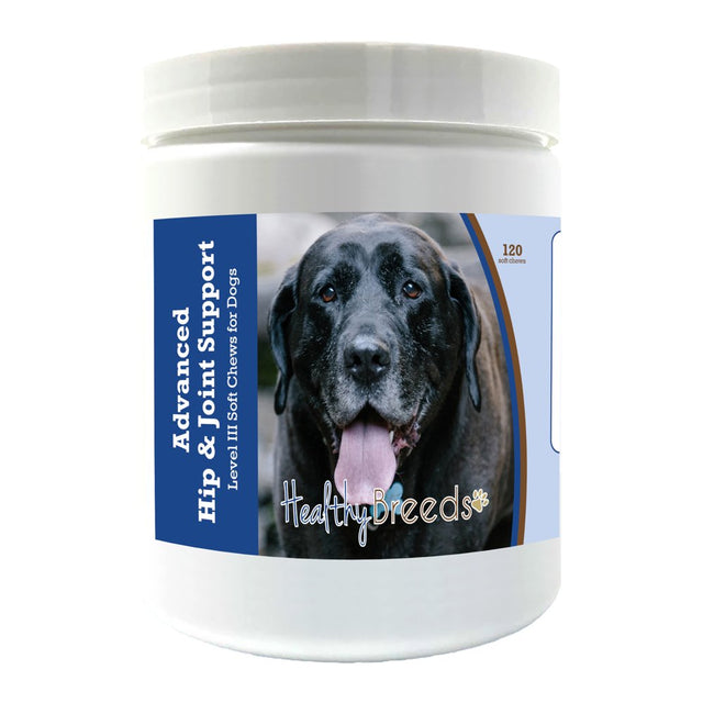 Healthy Breeds Mastador Advanced Hip & Joint Support Level III Soft Chews for Dogs 120 Count