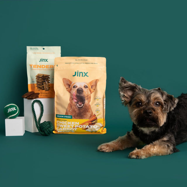 Jinx & Chris Evans Dog Dream Box