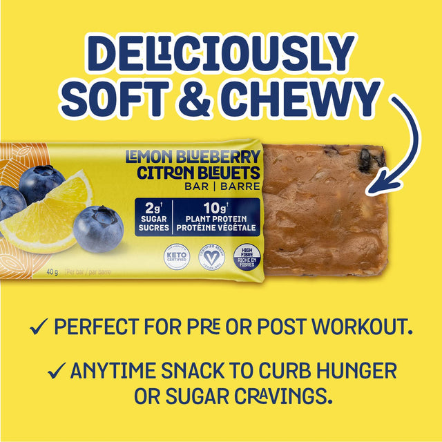 HUNGRY BUDDHA Bars - Plant Based Protein Bars - Vegan Nutrition Bars - Low Sugar Healthy Snacks - Gluten Free Snack Bars - Peanut Free - Protein Bar - Keto Bar - 12 Count - [Lemon Blueberry]