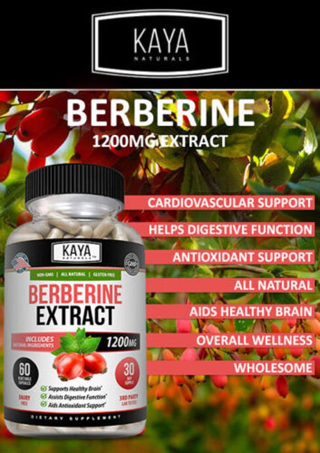 Kaya Naturals Premium Berberine Hcl Extract 1200Mg, Healthy Cholesterol, Anti-Inflammatory