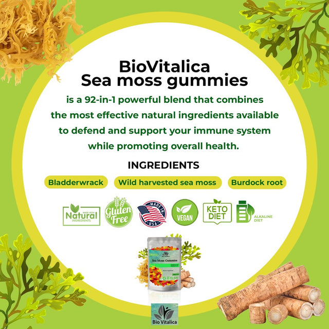 Irish Sea Moss Gummies with Burdock Root + Bladderwrack - Wildcrafted Sea Moss Raw Organic Gummy with Sea Moss Gel & Powder - Seamoss Gummies Vegan - Dr Sebi Sea Moss Diet - Immunity & Detox, Energy