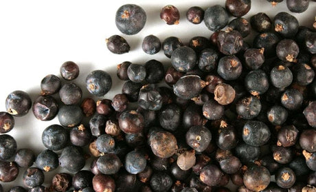 Juniper Berries Whole (2 Lb)