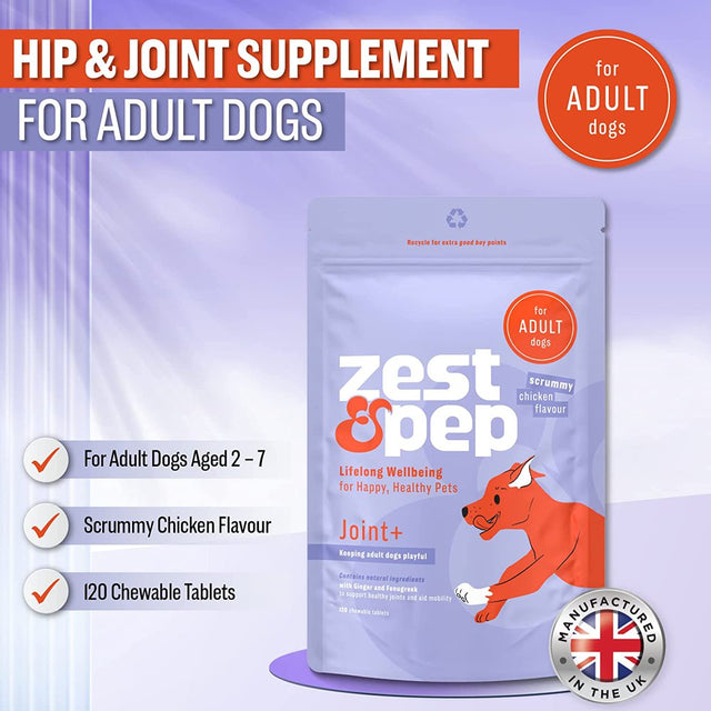 Hip & Joint Supplements for Dogs - Adult Dog Pain Relief anti Inflammatory Tablets 120