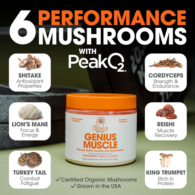 Genius Muscle Builder & Mass Gainer, Strawberry Vanilla - 100% Natural Anabolic Activator Supplement for Men & Women - Weight Gainer for Lean Muscle Growth & Bodybuilding