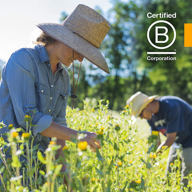 Herb Pharm Digestive Support & Detox Kit - Includes Certified Organic Fennel Liquid Extract, 1 Ounce & Alcohol-Free Dandelion Liquid Extract, 1 Ounce