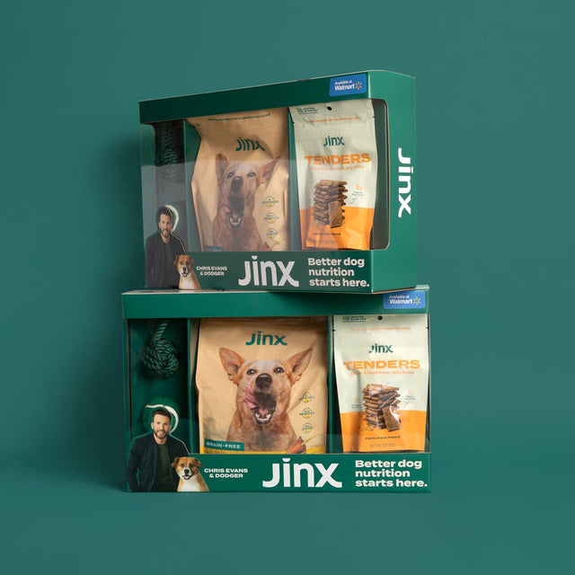 Jinx & Chris Evans Dog Dream Box