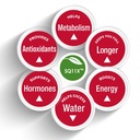 slimquick-pure-weight-loss-dietary-supplement-extra-strength-caplets-60-ct-05-12ff8569aaec65ce7798d12ab78e4959.jpg
