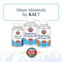 kal-bone-meal-powder-sterilized-edible-supplement-rich-in-calcium-phosphorus-magnesium-for-bones-teeth-nerves-muscular-function-16oz-06-3d76cfbb14147a278b24c0bbfc993944.jpg