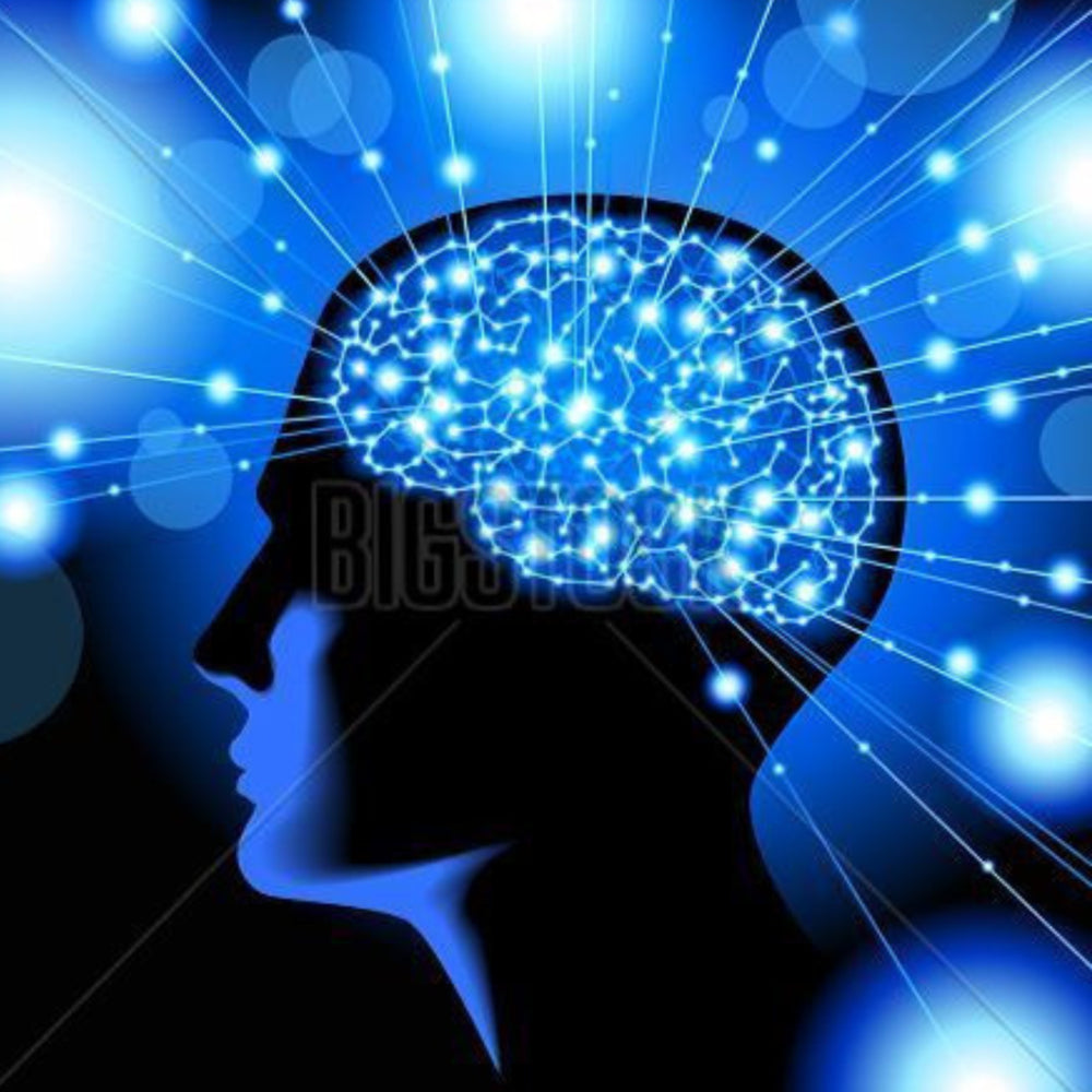 percepta-natural-plant-based-memory-support-all-natural-nootropic-memory-focus-clarity-30-day-supply-10-144998ca501e5e5097364cbf05b7db83.jpg