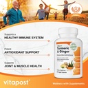 vitapost-turmeric-ginger-superfood-blend-supplement-with-bioperine-60-capsules-03-4637ab414a813f6ce46f2dd9b5156218.jpg