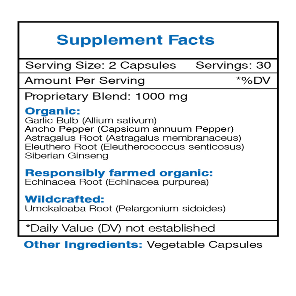 respiratory-immune-boost-60-capsules-500-mg-echinacea-garlic-marshmallow-root-ancho-pepper-astragalus-eleuthero-siberian-ginseng-lung-congestion-formula-02-cd1291cec97ad62c417578359d6d8357.jpg