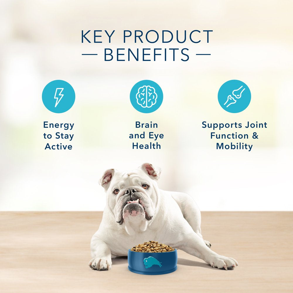 blue-buffalo-basics-skin-stomach-care-turkey-and-potato-dry-dog-food-for-senior-dogs-whole-grain-24-lb-bag-05-34434fa331185b46878837e28438a238.jpg