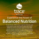 trace-minerals-hydration-i-v-electrolyte-drink-packs-full-spectrum-mineral-mix-supports-rapid-rehydration-energy-stamina-and-muscle-recovery-raspberry-lemonade-flavor-16-packs-05-2ea35c100d9d9d7451213809af8542fa.jpg
