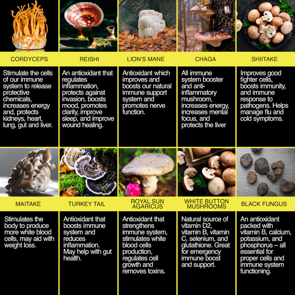 mushroom-complex-capsules-10in1-nootropic-mushrooms-with-lions-mane-cordyceps-reishi-maitake-chaga-turkey-tail-shiitake-mushroom-supplements-for-memory-focus-immune-support-vegan-60-ct-07-f44d76e4c8bc601704f9b2c516fd01f2.jpg